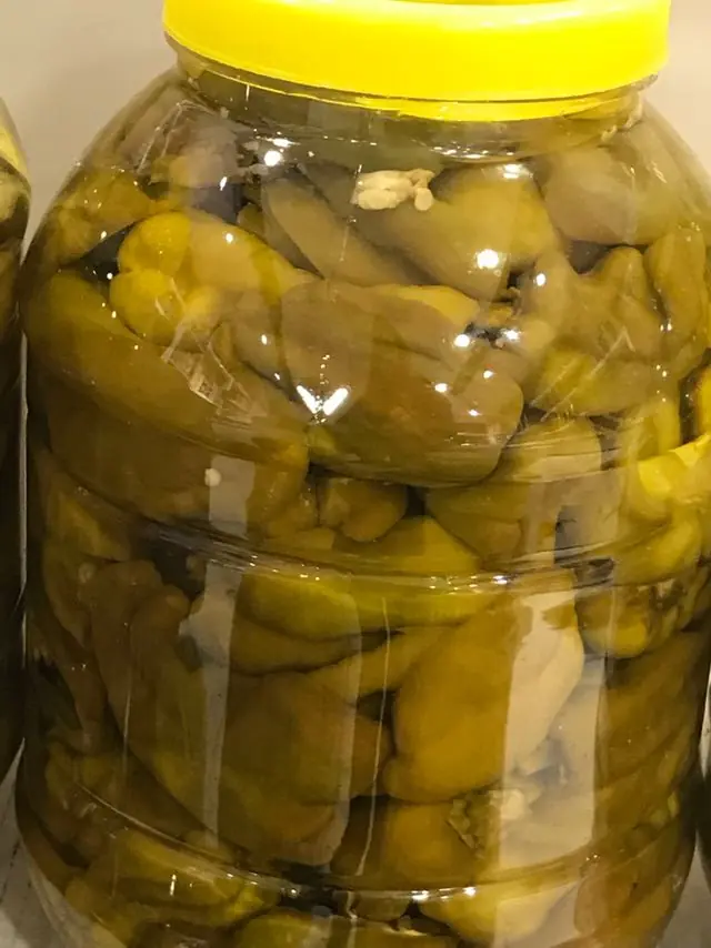 Acı Biber Turşusu  183